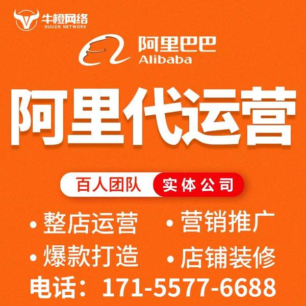 延吉电商代运营