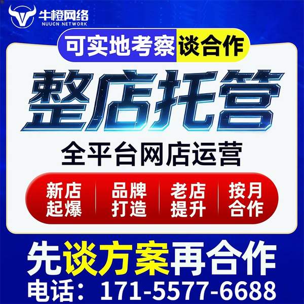 延吉电商代运营