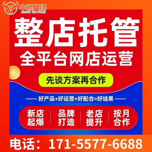 延吉电商代运营