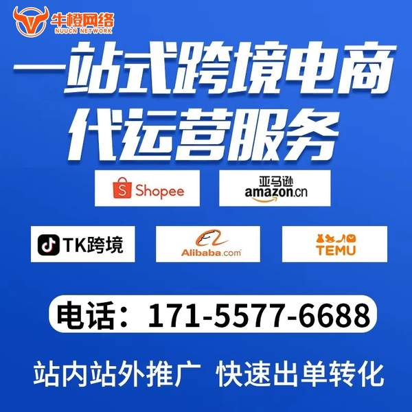 延吉电商代运营