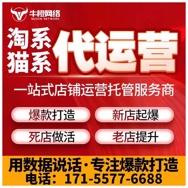 延吉电商代运营